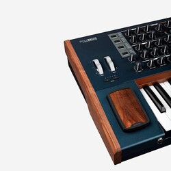 Arturia PolyBrute 61 Tuşlu Synthesizer - 6