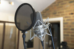 Neumann M 150 Tube Mikrofon - 4