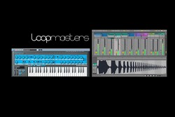 Novation Impulse 61 USB Midi Controller Klavye - 2