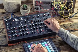Novation Peak Polifonik Masaüstü Synthesizer - 3