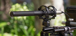 Rode NTG-4+ Shotgun Mikrofon - 2