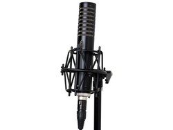 Royer Labs R-101 - 2