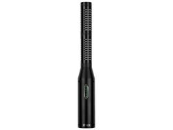 Royer Labs SF-24 - Royer Labs