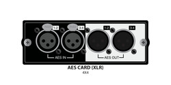 Soundcraft Cat 5 Dual port MADI Expansion Kart - Soundcraft