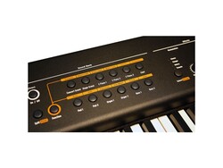 Studiologic by Fatar Numa Concert - 4