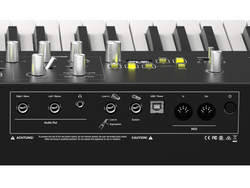 Waldorf STVC - 3