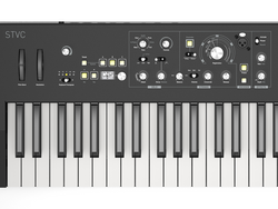 Waldorf STVC - 4